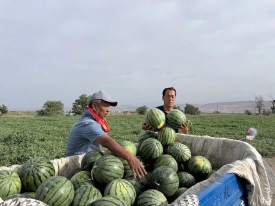 西藏扎西枫丹娱乐吃瓜