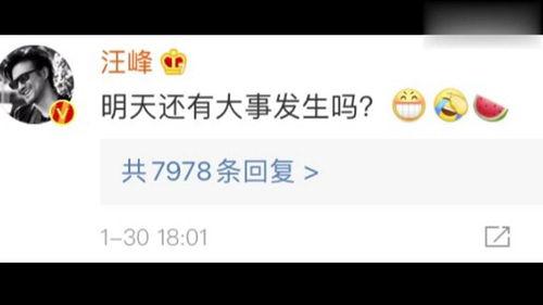 今日娱乐吃瓜最新信息网,揭秘今日热门吃瓜事件