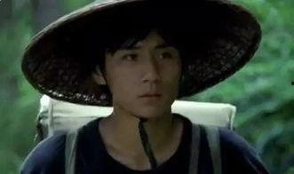 娱乐圈人设,揭秘明星背后的真实形象与公众形象差异